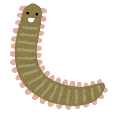 いそめ